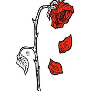 Meet your Posher, Will